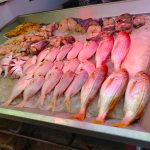 Fish at Victoria Street Market in Durban South Africa. A top 10 tourist attraction in durban as featured on durbanvibe.co.za Durban tourist information and what's on in Durban website