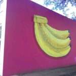 3 Banana wall art at the KZNSA Gallery in Durban South Africa as featured on the durbanvibe.co.za what's on in Durban and Durban attractions tourist information website
