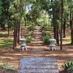 Walkway at the Japanese Garden in Durban South Africa as featured on the durbanvibe.co.za what's on in Durban and Durban attractions tourist information website