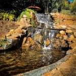 Waterfall at the Japanese Garden in Durban South Africa as featured on the durbanvibe.co.za what's on in Durban and Durban attractions tourist information website