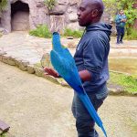 Bird and Zookeeper at Umgeni River Bird Park in Durban South Africa as featured on the durbanvibe.co.za what's on in Durban and Durban attractions tourist information website