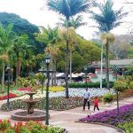 Gardens at the Mitchell Park Zoo in Durban South Africa as featured on the durbanvibe.co.za what's on in Durban and Durban attractions tourist information website